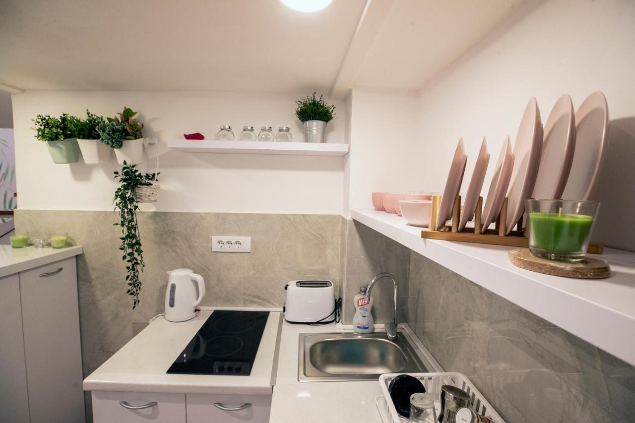 Apartment Karioka Belgrade